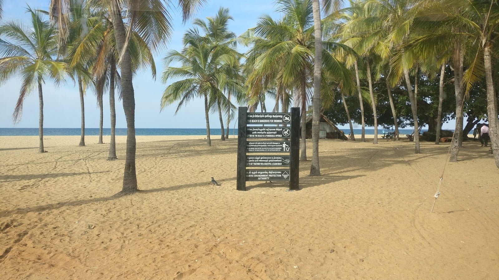 Discover the Pristine Beauty of Pasikudah, Kallady, and Kalkudah Beaches