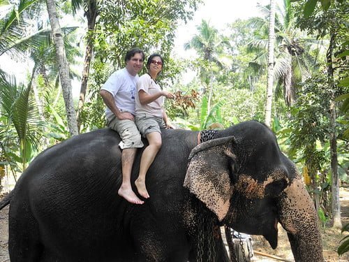 Elephant Activities at Elephant orphanage