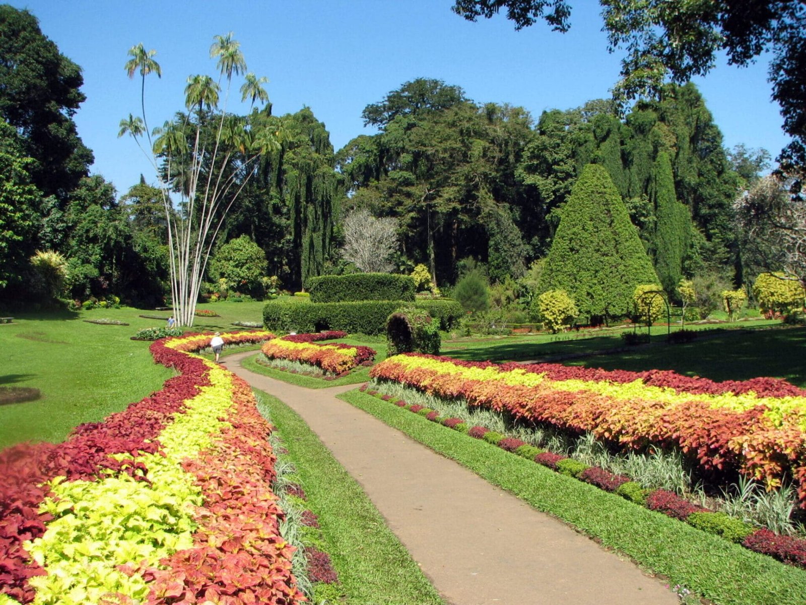 Royal Botanic Gardens, Peradeniya, Kandy