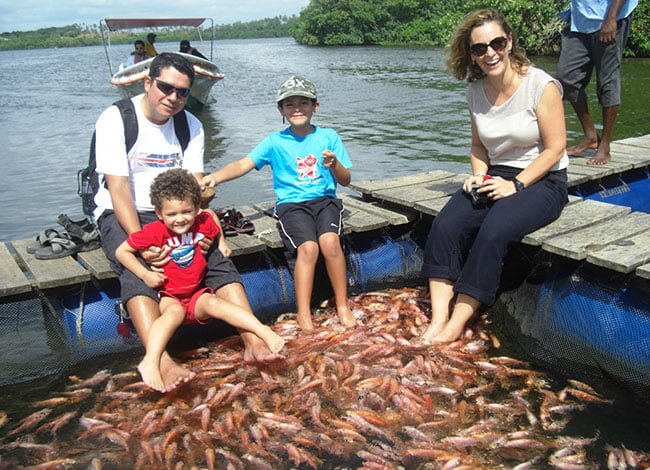 Madu River Boat Safari