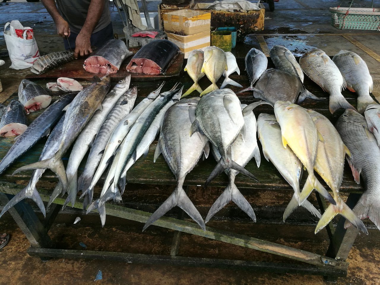 Negombo Fish Market, Negombo
