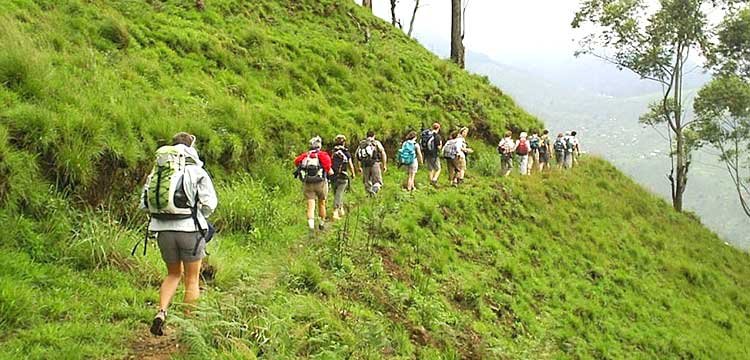 Hiking and Trekking in pitawala pathana, Sri Lanka