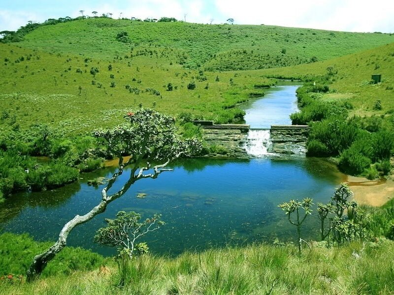Horton Plains National Park, Nuwaraeliya