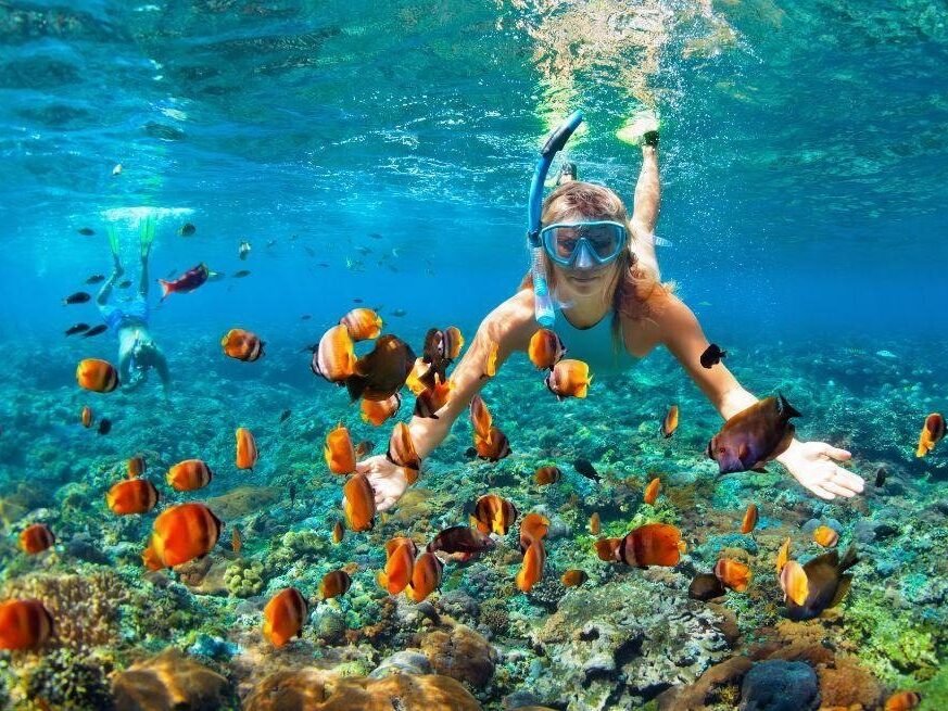 An underwater diving experience