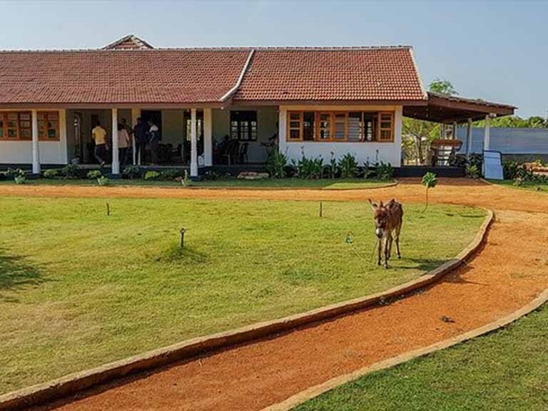 Donkey Clinic & Education Centre, Mannar