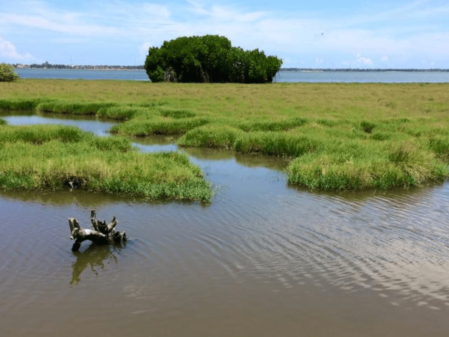 Buffalo Island, Batticaloa