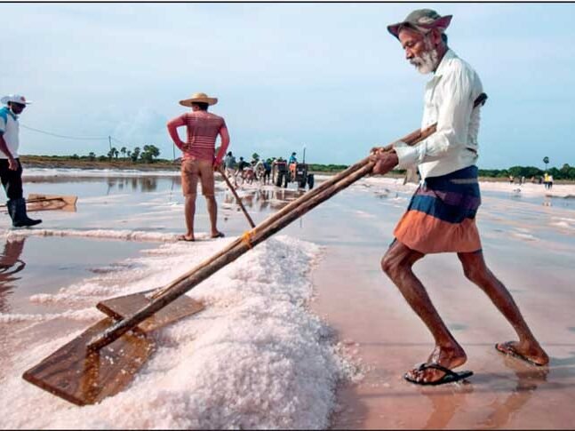 Salt Pans, Hambantota