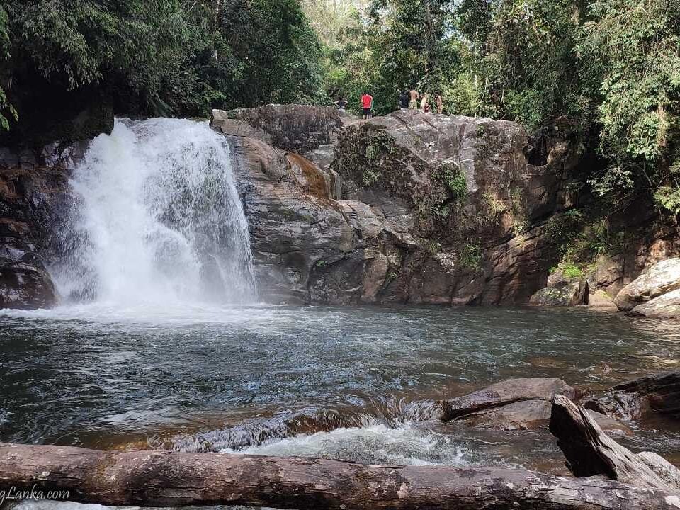 Kekuna Ella, Sinharaja