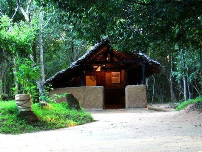 Popham's Arboretum, Sigiriya