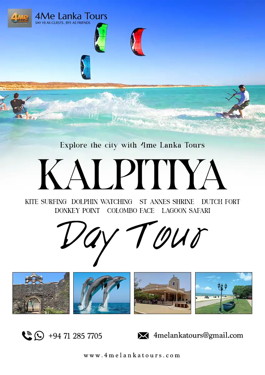 Kalpitiya dolphin watching day tour from BIA airport Sri Lanka