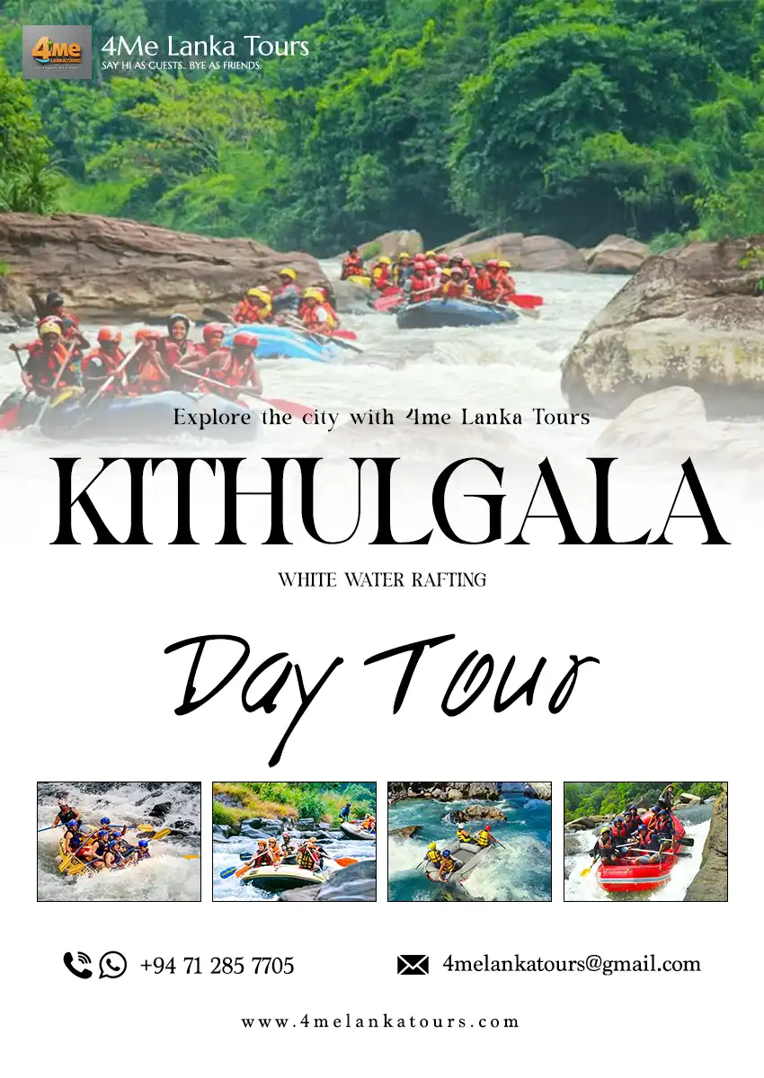 Kithulgala adventure day tour from BIA airport Sri Lanka