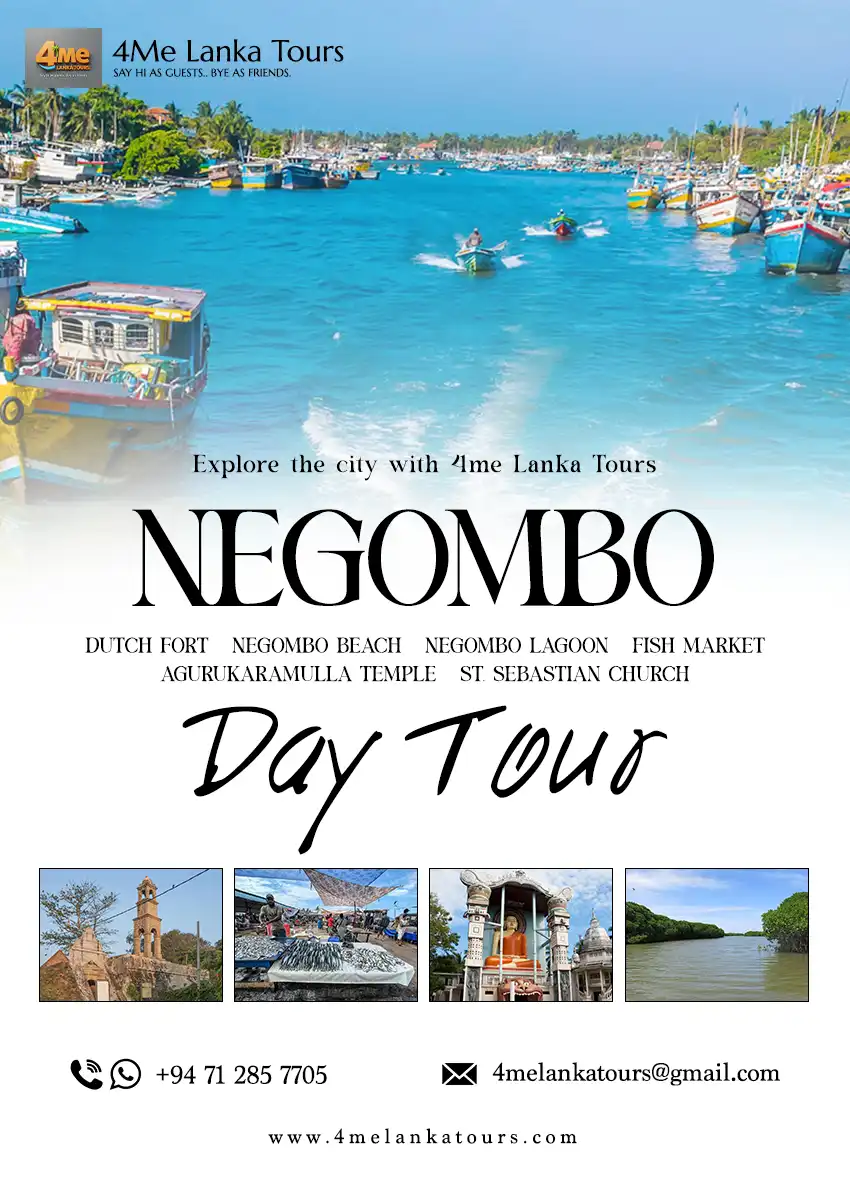 Negombo day tour from BIA airport Sri Lanka